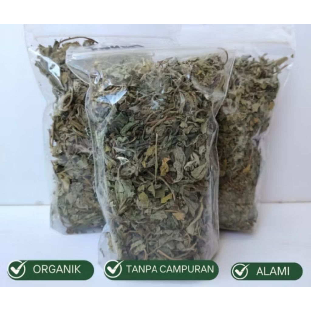 Daun insulin kering 50 gr untuk diabetes