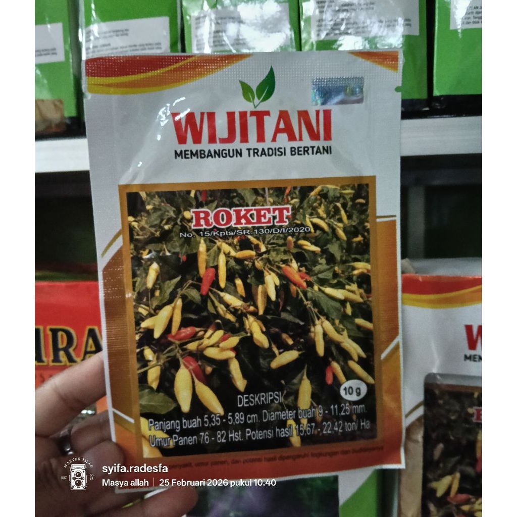 NEW‼️BENIH CABE RAWIT ROKET wijitani
