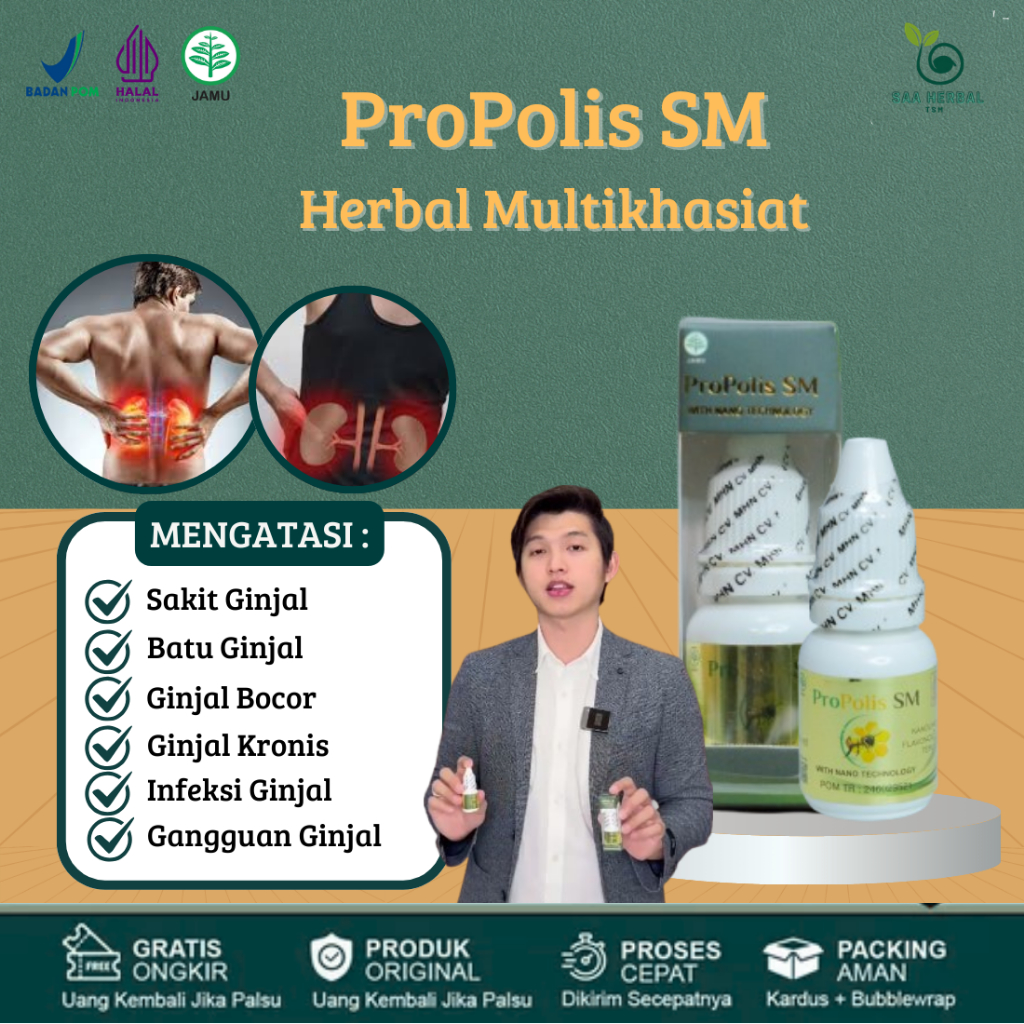 Herbal Alami Atasi Sakit Ginjal, Batu Ginjal, Ginjal Bocor, Ginjal Kronis, Infeksi Ginjal, Gangguan 
