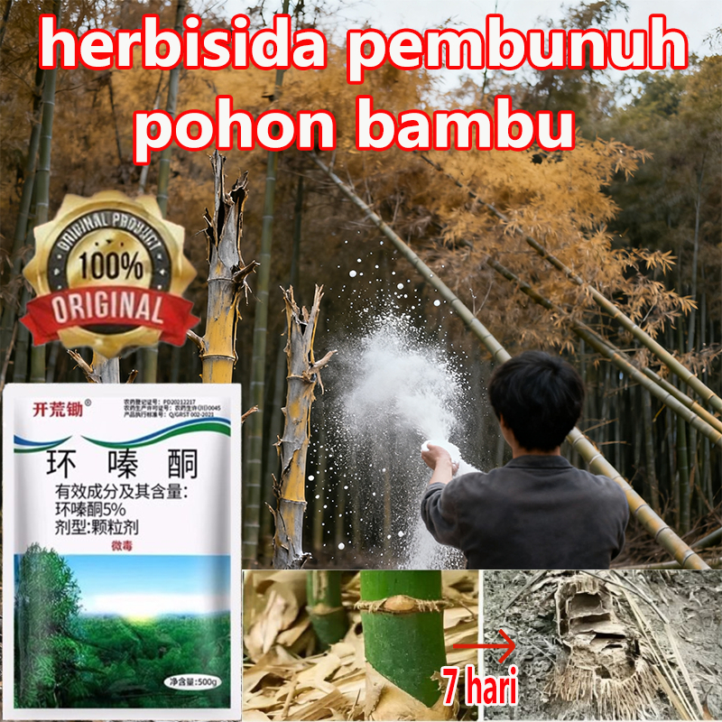 obat pembunuh pohon racun pohon besar herbisida pembunuh pohon bambu herbisida pembasmi rumput liar