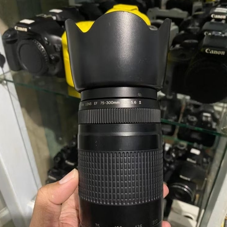 Lens Hood Lensa Canon