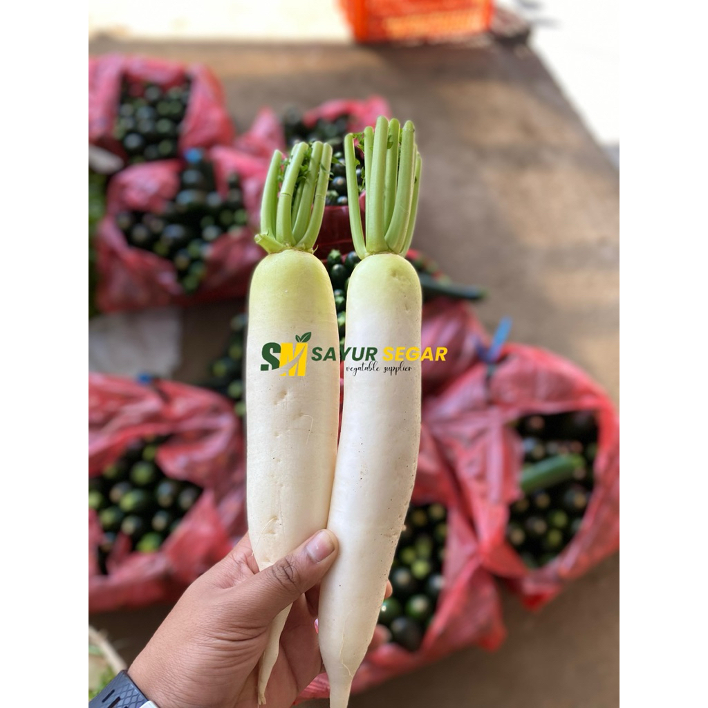 lobak putih/lobak daikon/lobak murah/lobak/sayurmurah/sayurgrosir/sayurhoreca