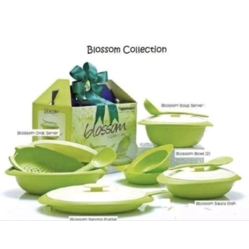 Tupperware blossom collection set wadah makan saji