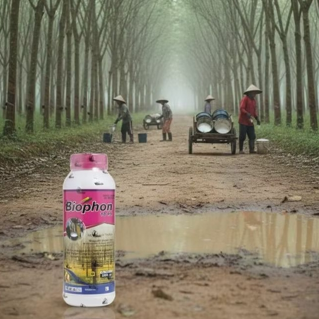 Zat Pengatur Tumbuh ZPT Biophon 10PA perangsang latex getah karet 500ml