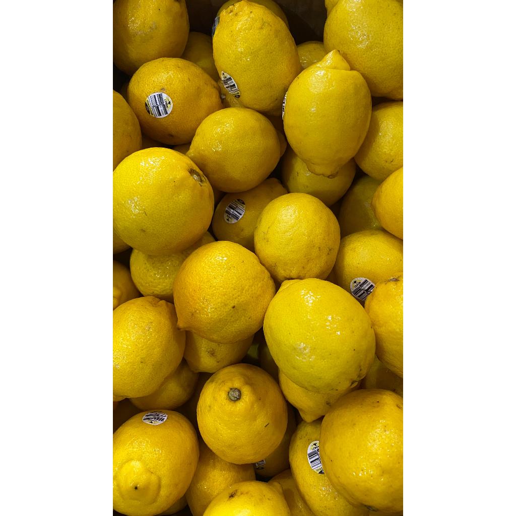 Lemon Aussie, lemon import, jeruk lemon import