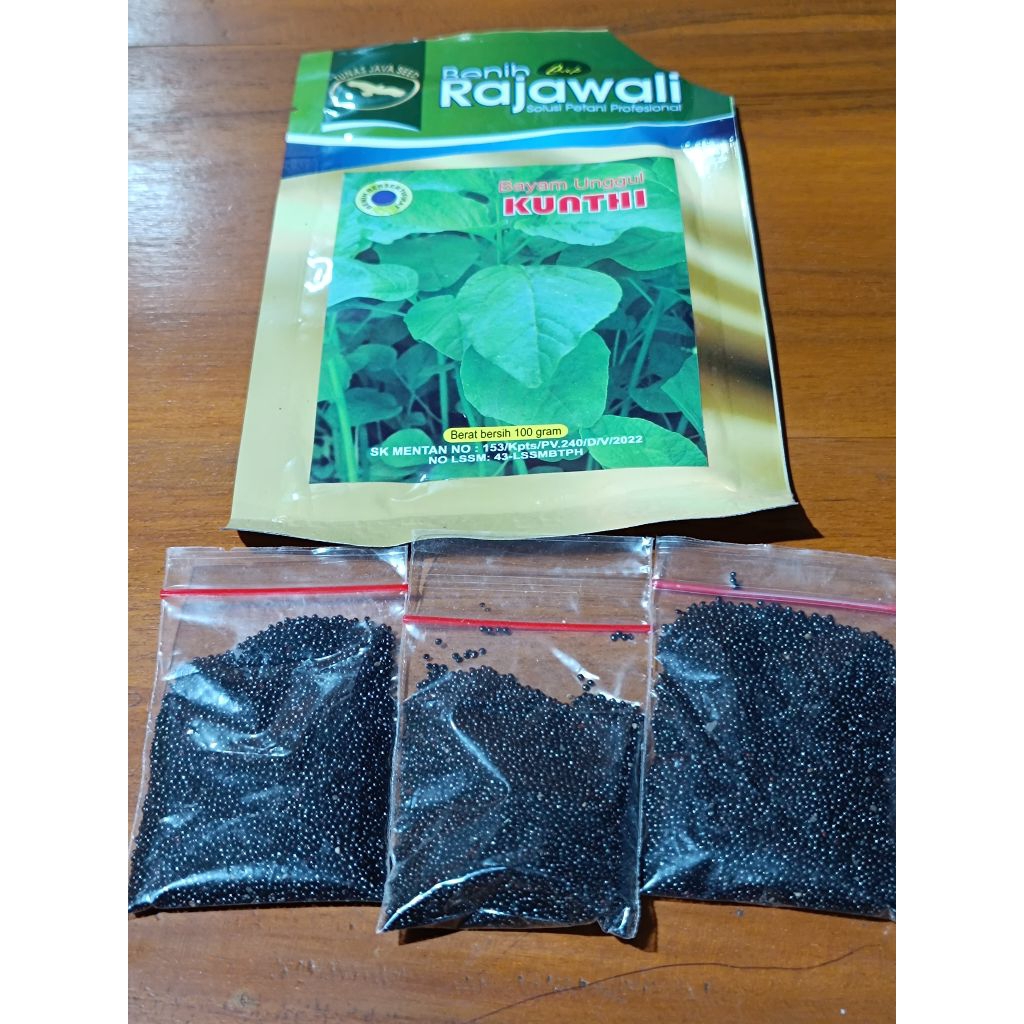 Benih bayam RAJAWALI