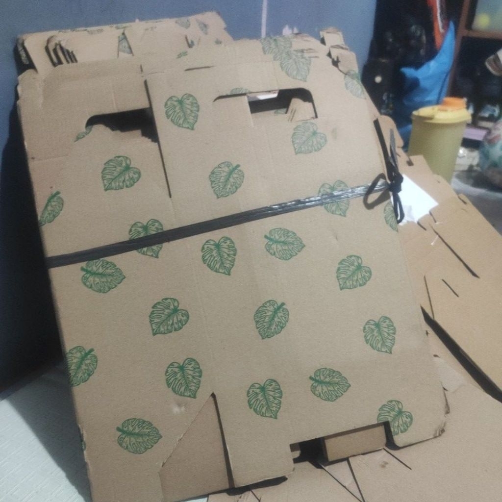 box hampers untuk 10 botol kale uk. 250ml