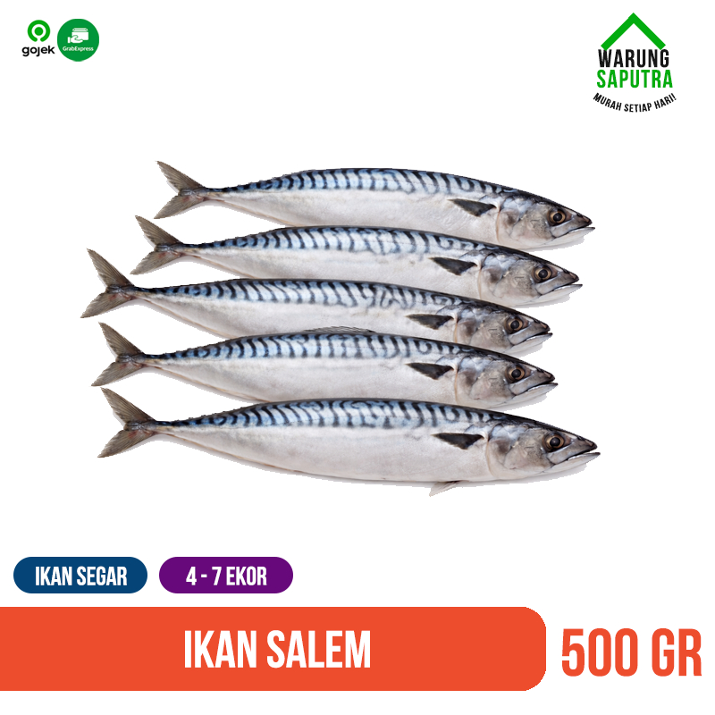 Ikan Salam / Ikan Salem / Ikan Kembung Salem Utuh Segar 500 gr