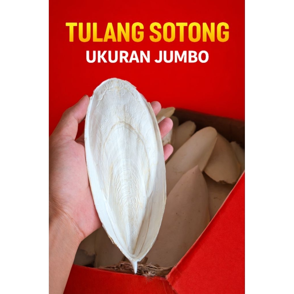 Tulang Sotong Super Ukuran Besar untuk Burung Lovebird