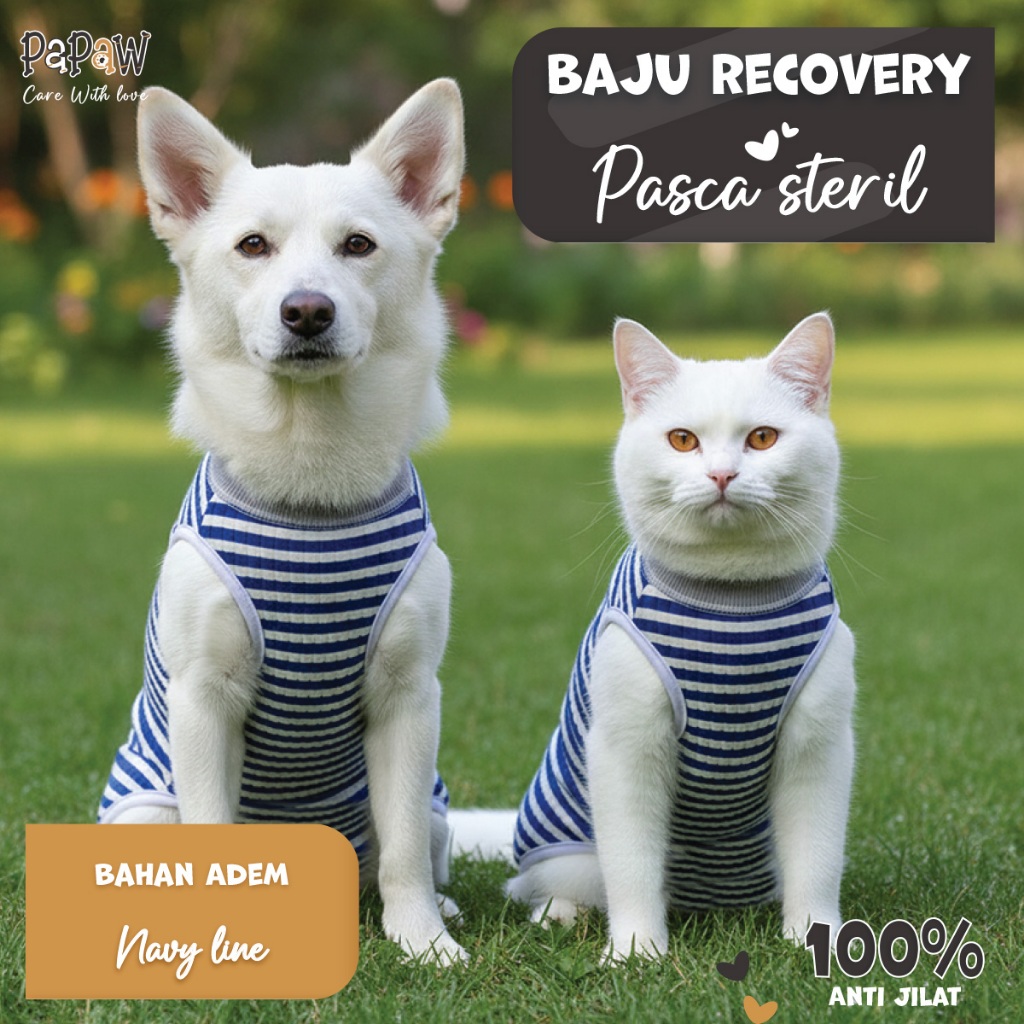 Baju Steril Kucing Anjing Betina Jantan Untuk Recovery Pasca Operasi