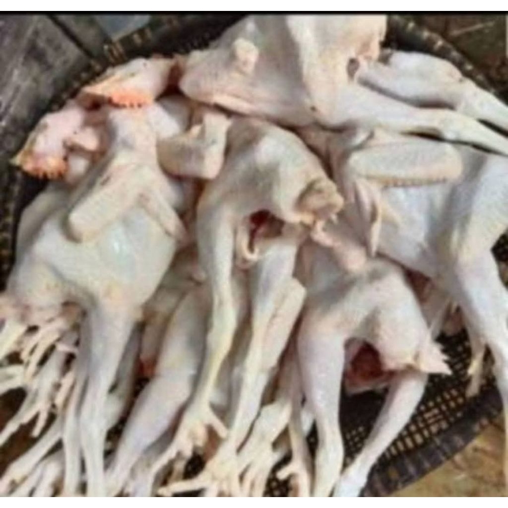 ayam pejantan rasa ayam kampung Fress segar/daging ayam pejantan tress