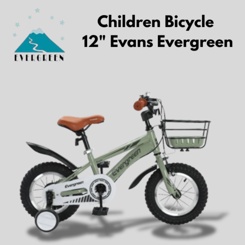 Children Bicycle 12" Evans Evergreen