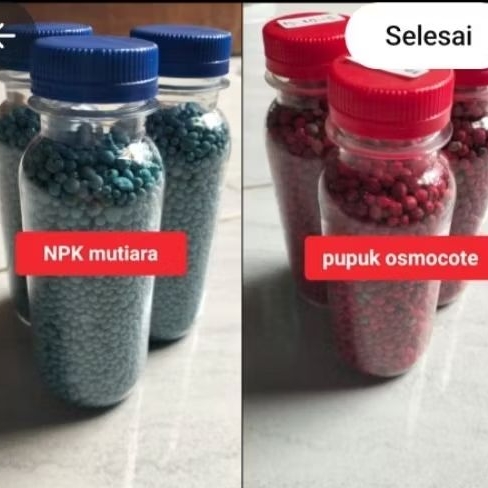 jenis pupuk penyubur tanaman