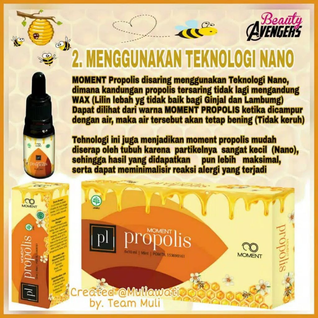 Propolis Moment Original ( 3 botol )