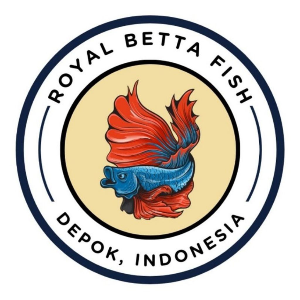 Hiasan aquarium ikan guppy mozaik pair