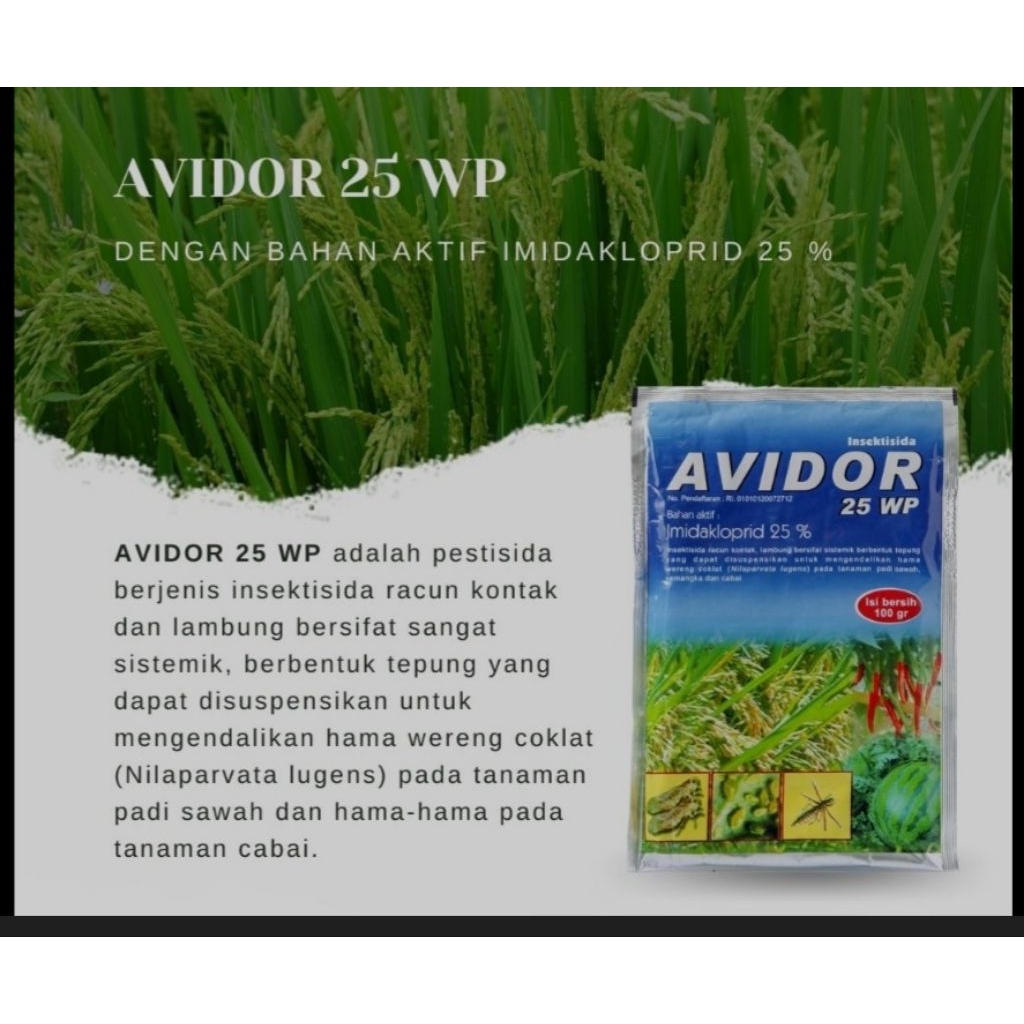 AVIDOR 25 WP