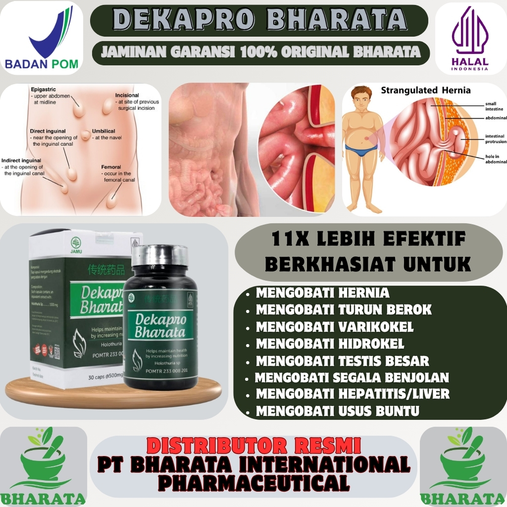 Obat HERNIA Ampuh Original Obat Turun Berok Pria Wanita Obat Varikokel DEKAPRO BHARATA Herbal Asli