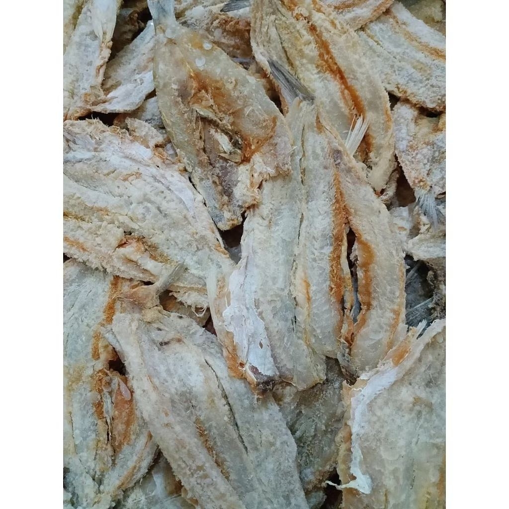 IKAN GABUS/BLOSO ASIN