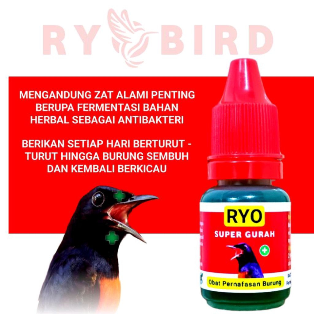 RYO SUPER GURAH Obat Burung Serak Infeksi Saluran Pernafasan Obat Burung Khusus Burung Murai