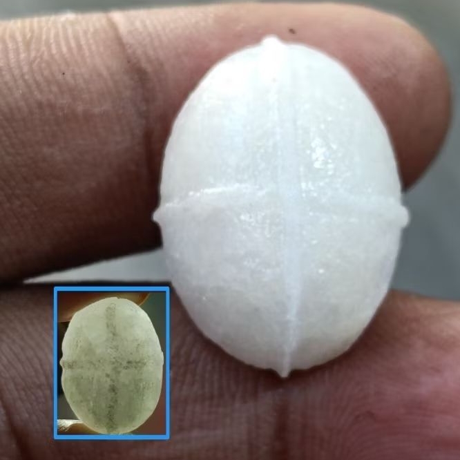 Batu Posil Man1 G4jah Tapak Jalak Timbul , Natural