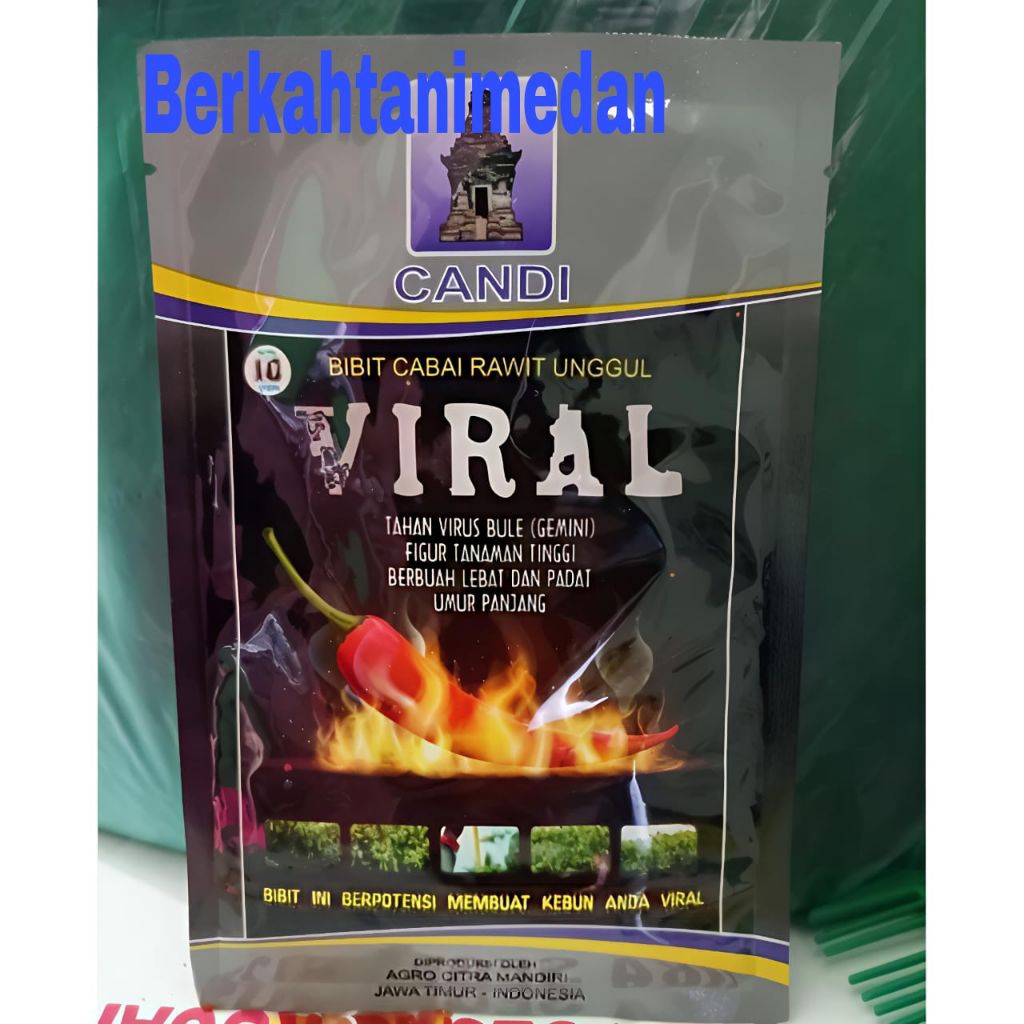 Benih Cabe Rawit Viral isi 10 gram