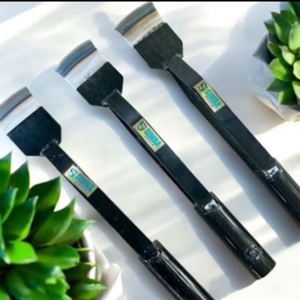 dodos Kastrarasi- dodos Kastrarasi sawit baja perr asli