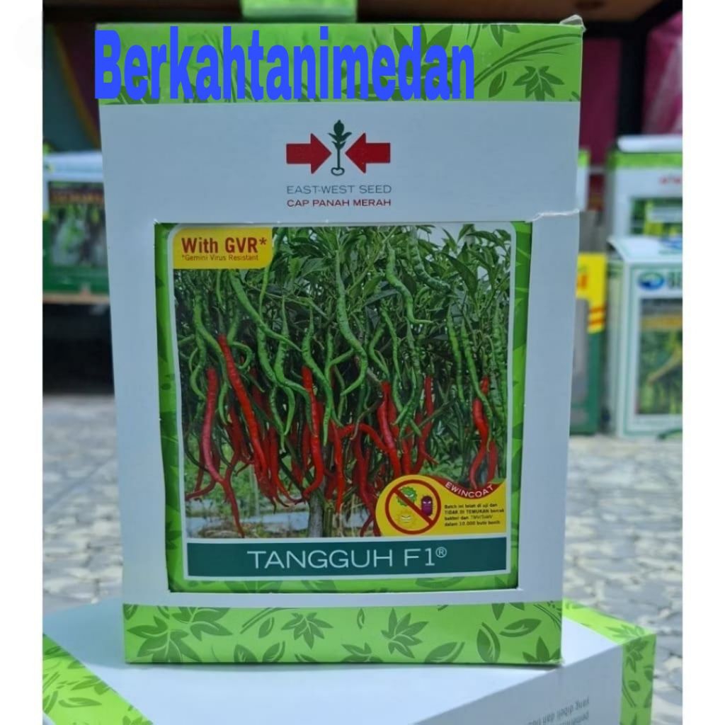 1 Kotak / 15 Bungkus Benih Cabe Keriting Tangguh F1 isi 2000 butir