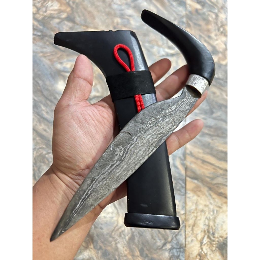 Lompoo battang/Taeng berpamorrr daun padi