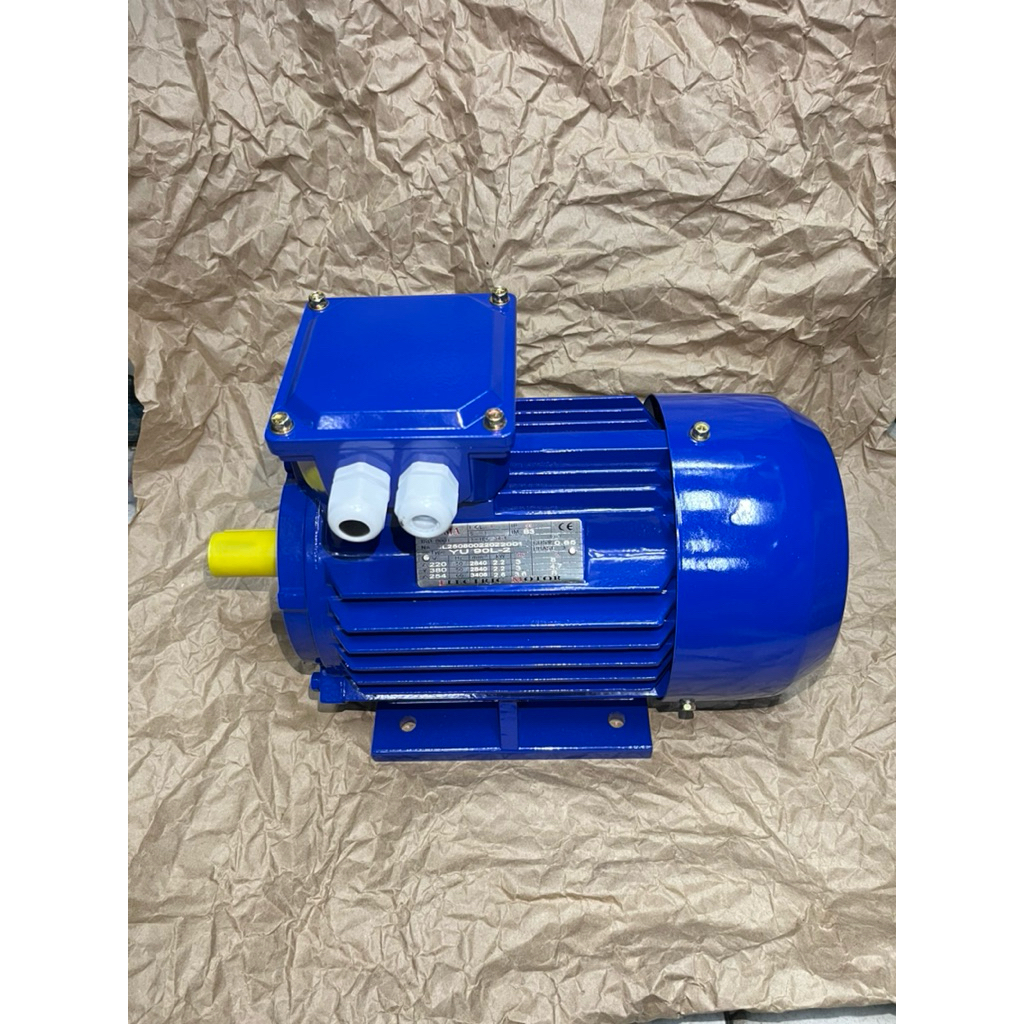 Electric Motor Yuema 3Hp 2.2Kw 3Phase