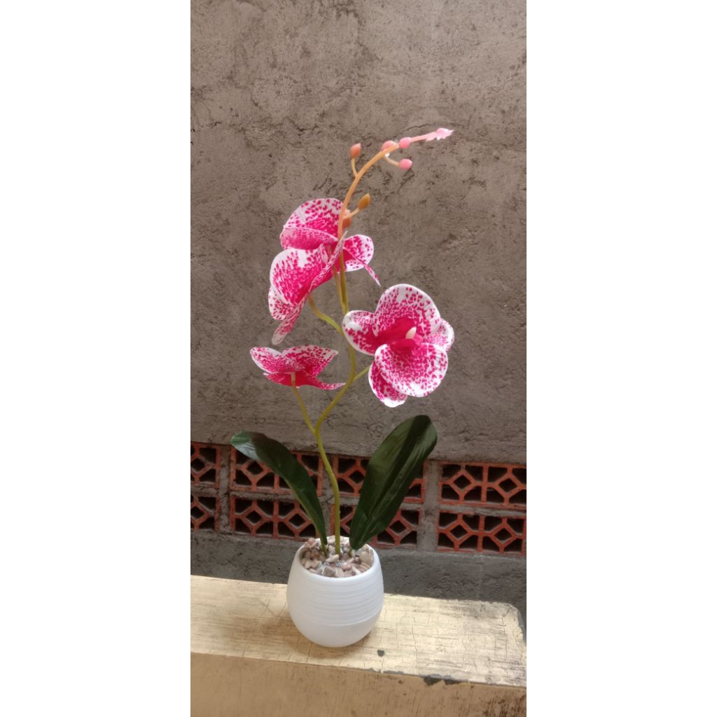 anggrek hias ruangan, anggrek plastik