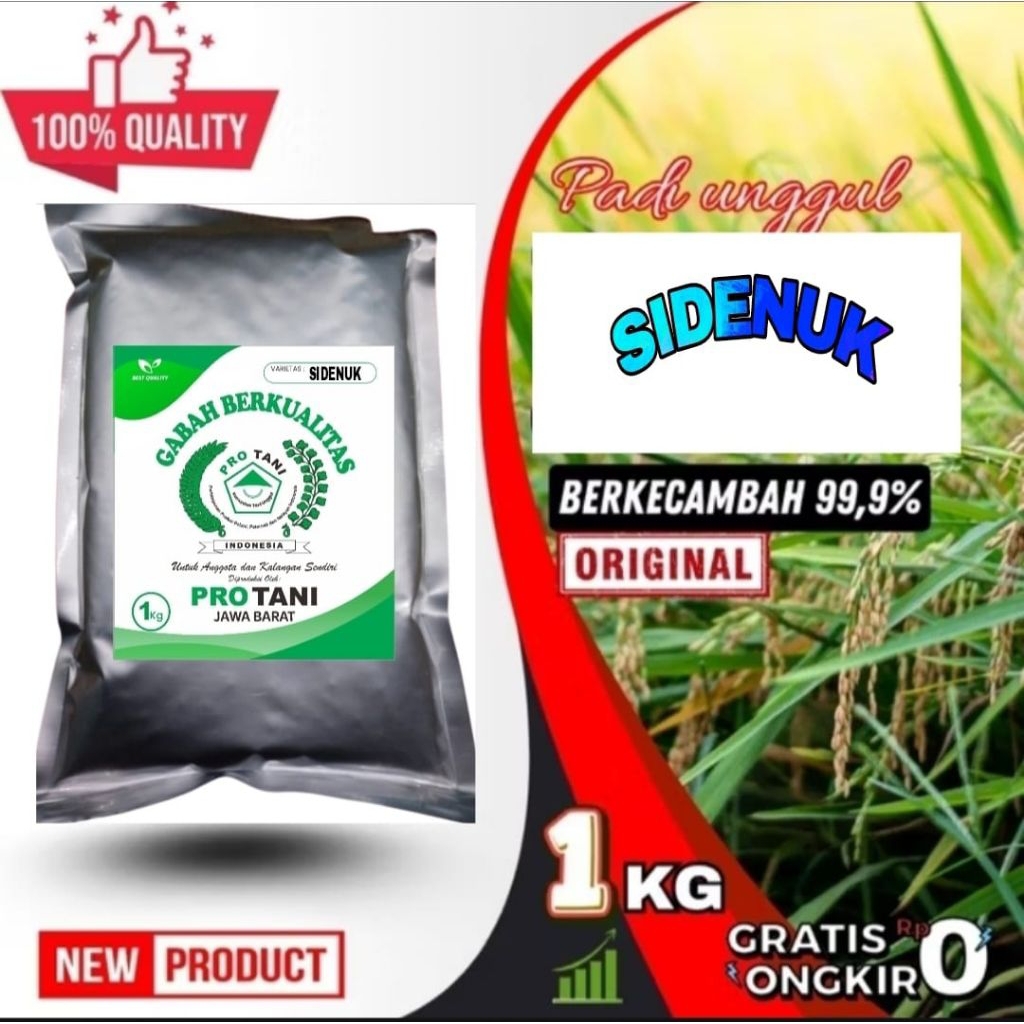COD 1KG BENIH PADI SIDENUK ASLI ORIGINAL LABEL PUTIH