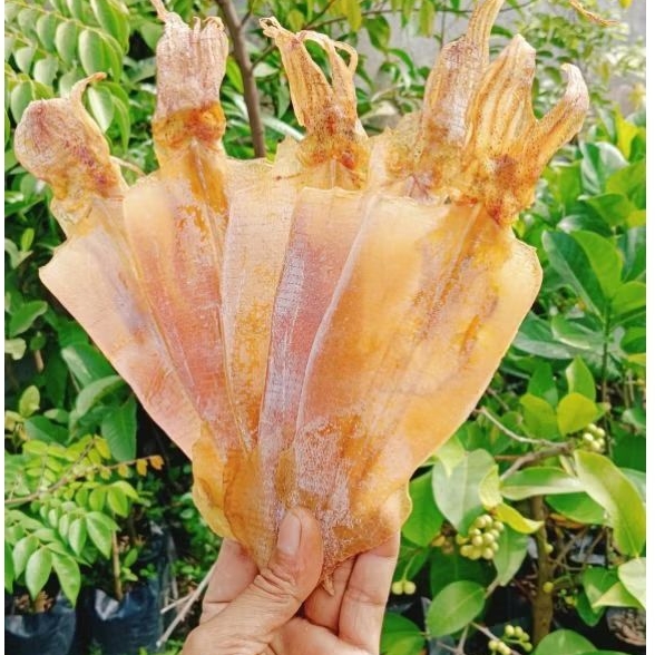 Ikan Cumi kering belah Juhi Sotong kering tawar murah
