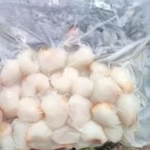 LECI FROZEN LYCHEE FROZEN 500GR