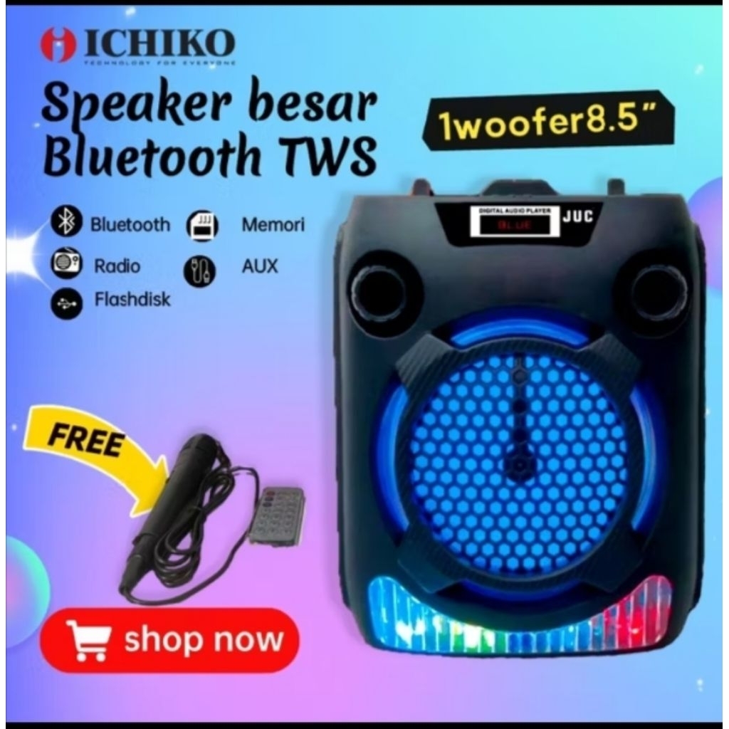ICHIKO speaker bloototh 8,5in