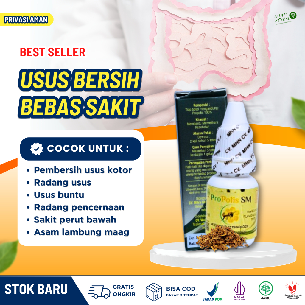 Obat Pembersih Usus Kotor dan Lambung Radang Usus Besar Usus Buntu Sariawan Usus Pencuci Usus