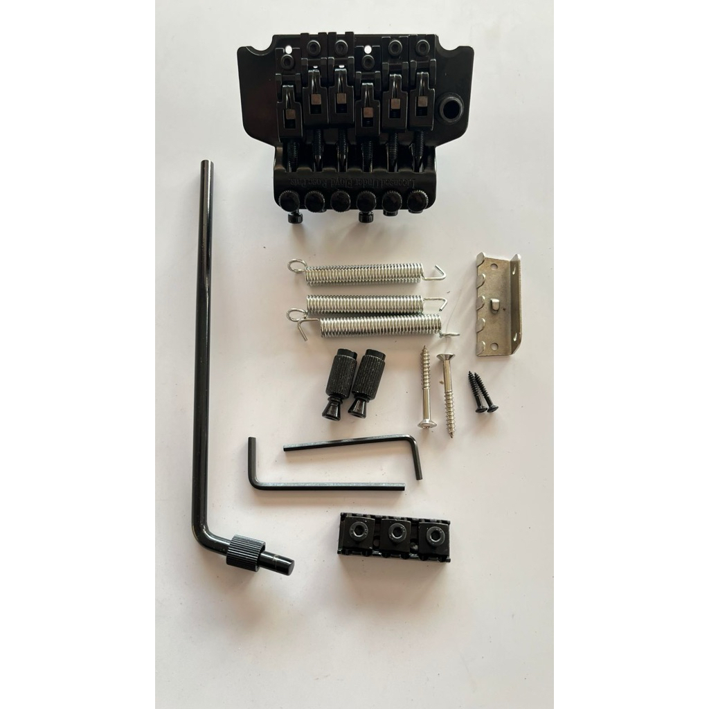 Tremolo Up Down Floyd Rose Gitar Elektrik