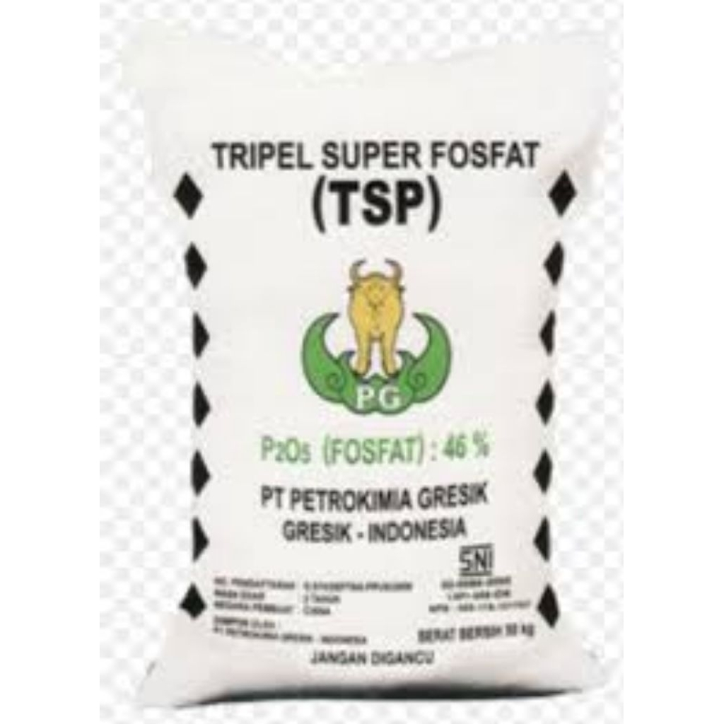 Pupuk Super Fosfat TSP 46 Granular 1Kg