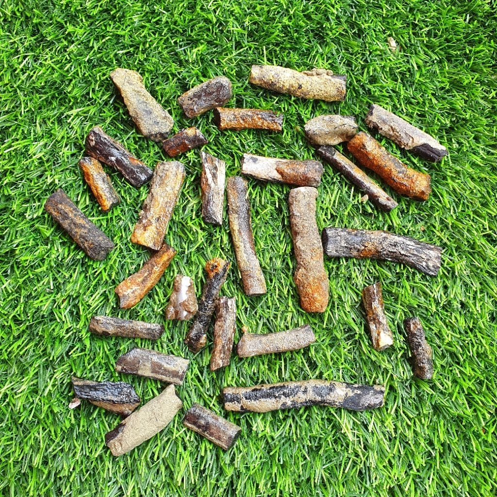 Batu black opal sempur ranting asli banten/kalimaya banten/black opal banten sempur/batu sempur natu