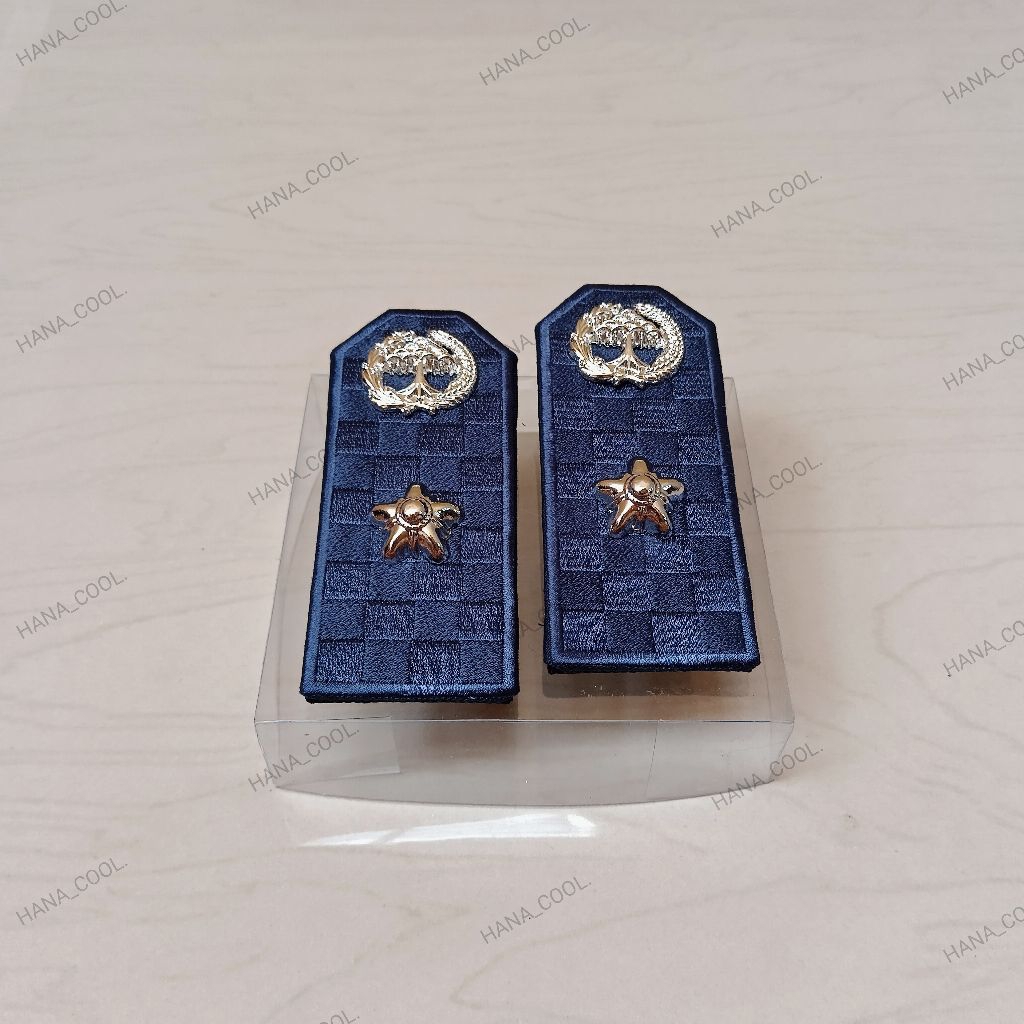 Pangkat pdu lurah/kades biru