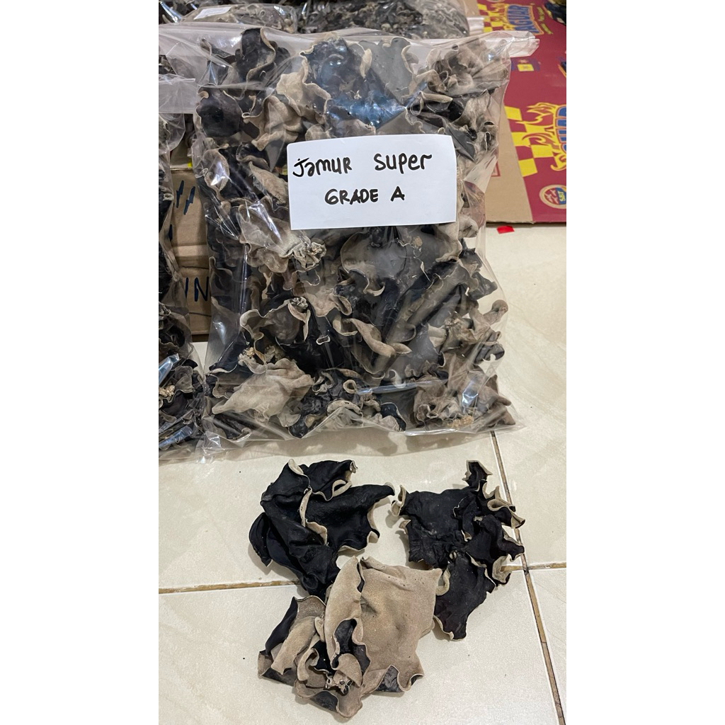 JAMUR KUPING SUPER KERING