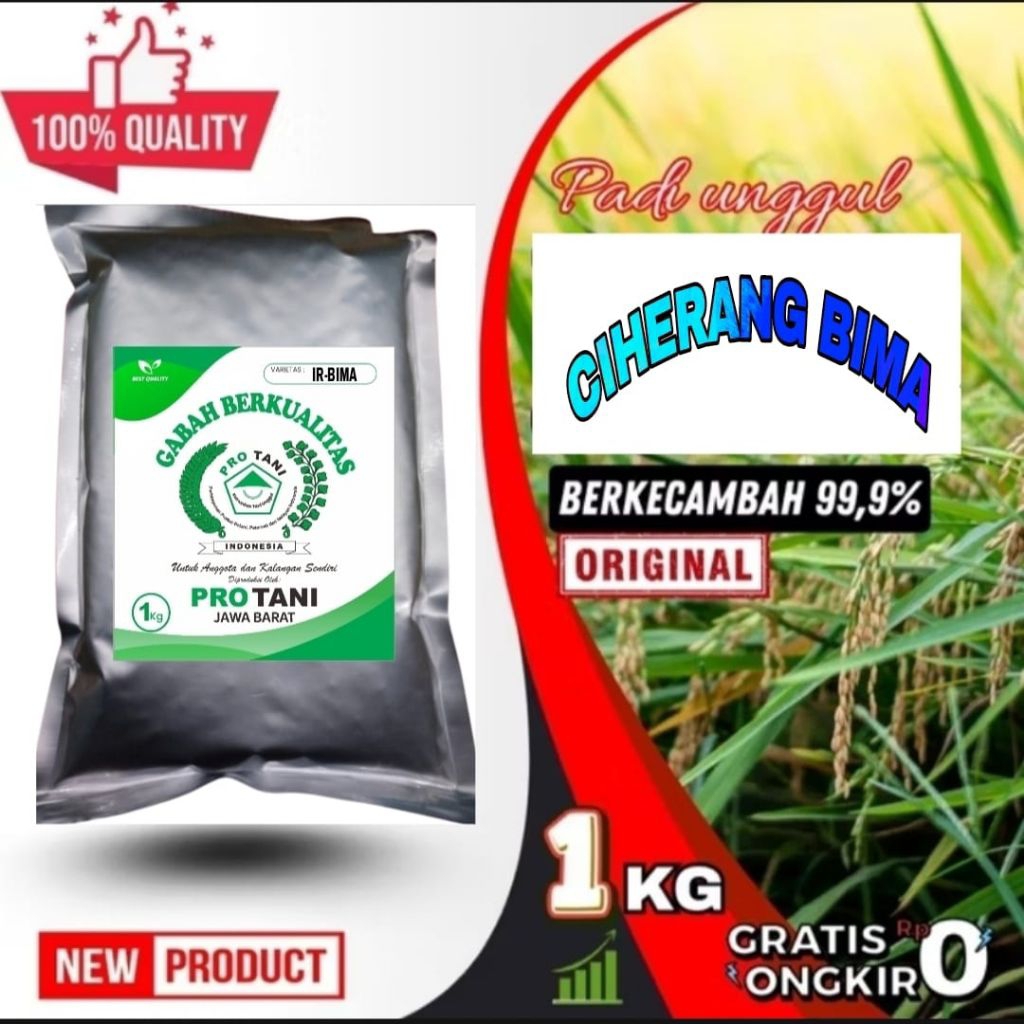 cod 1kg BENIH PADI CIHERANG BIMA SAKTI SUPER JUMBO ORIGINAL LABEL PUTIH