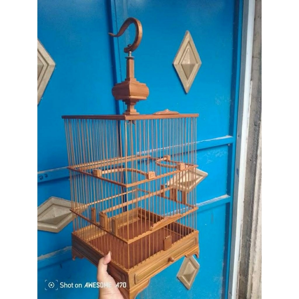 sangkar burcil model cungkok vietnam