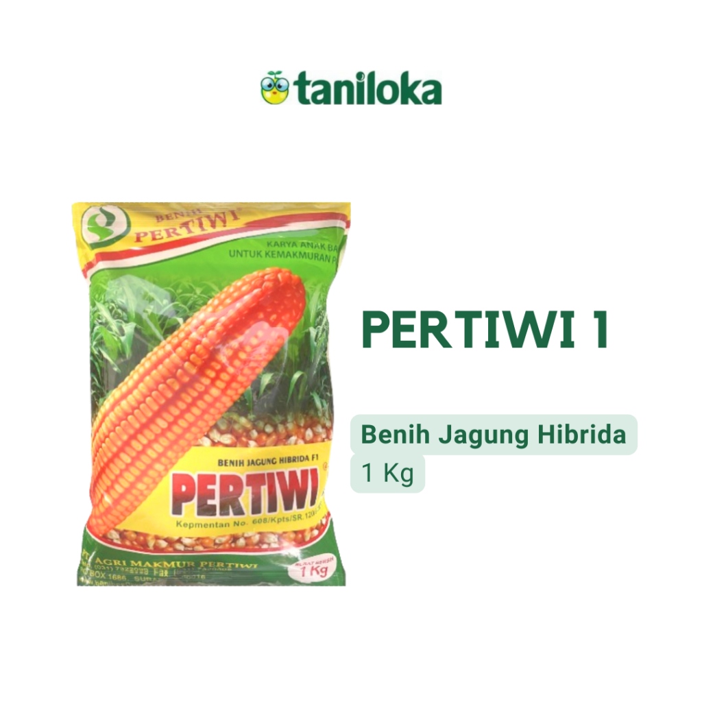 Benih Pertiwi - Benih Jagung Pertiwi 1 (1 Kg)