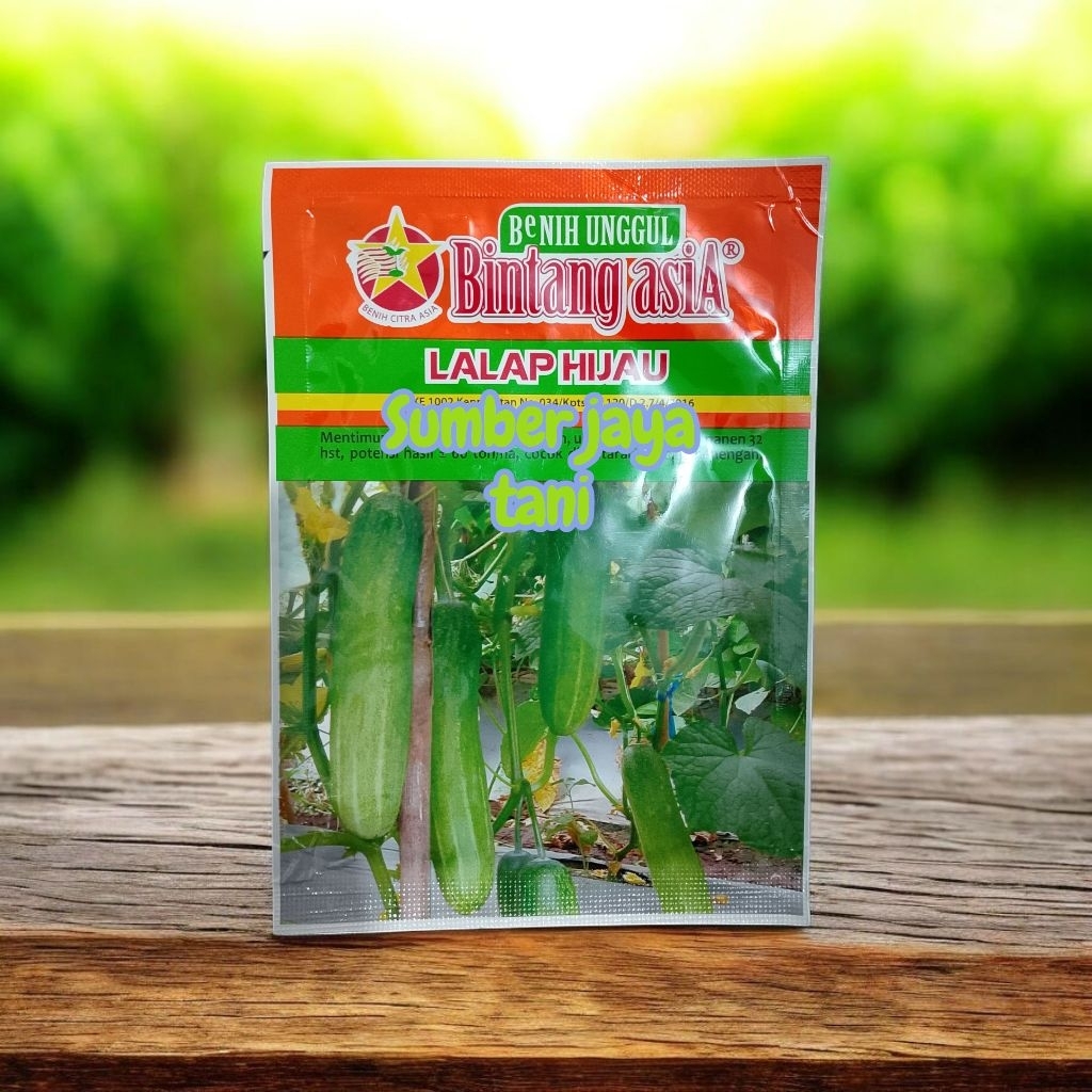 benih mentimun lalap hijau bintang asia 20gram