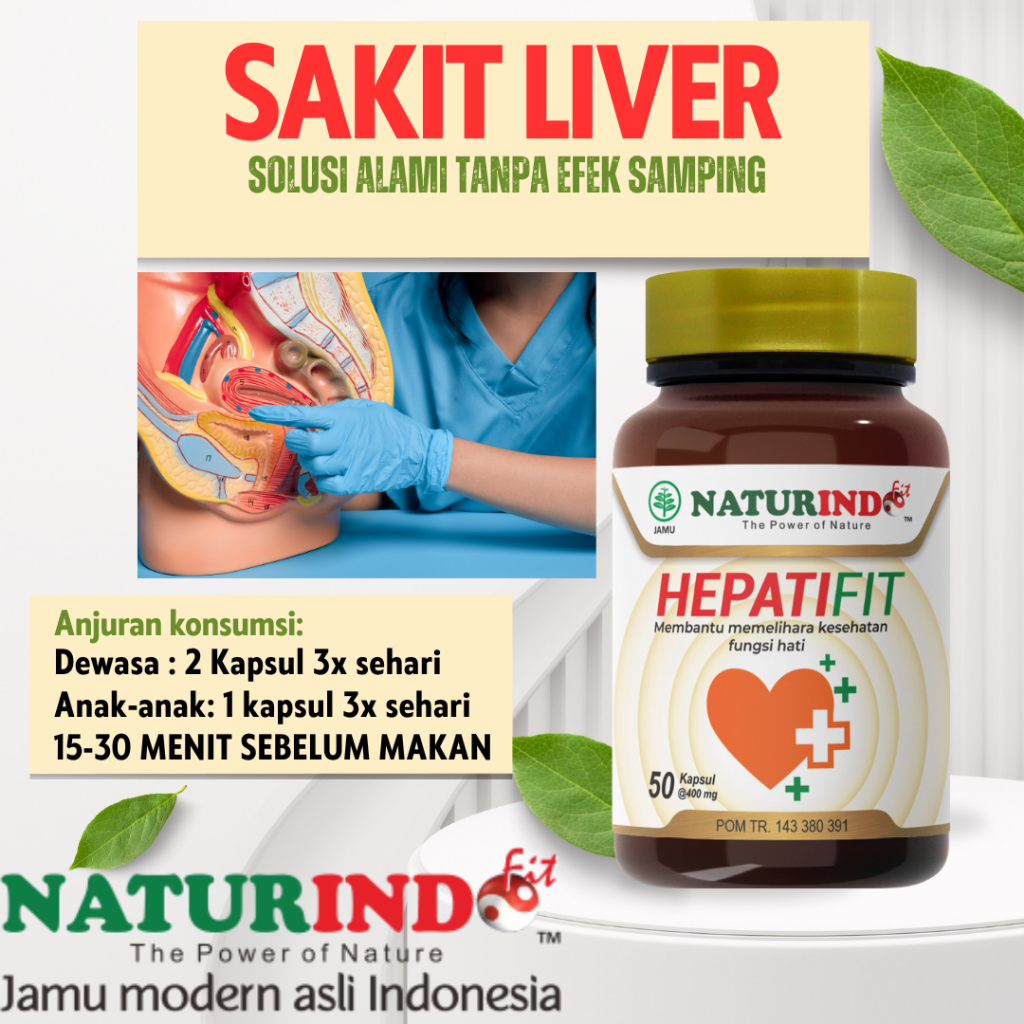 Hepatifit Naturindo Herbal Liver Batu Empedu Alergi Bersih Darah Biduran Obat Gatal