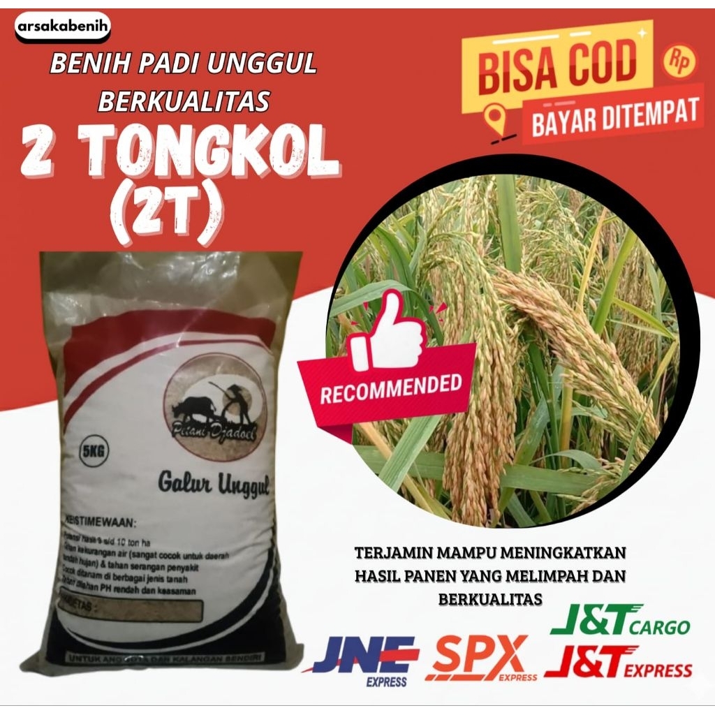 BIBIT PADI UNGGUL BERKUALITAS 2 TONGKOL 5kg