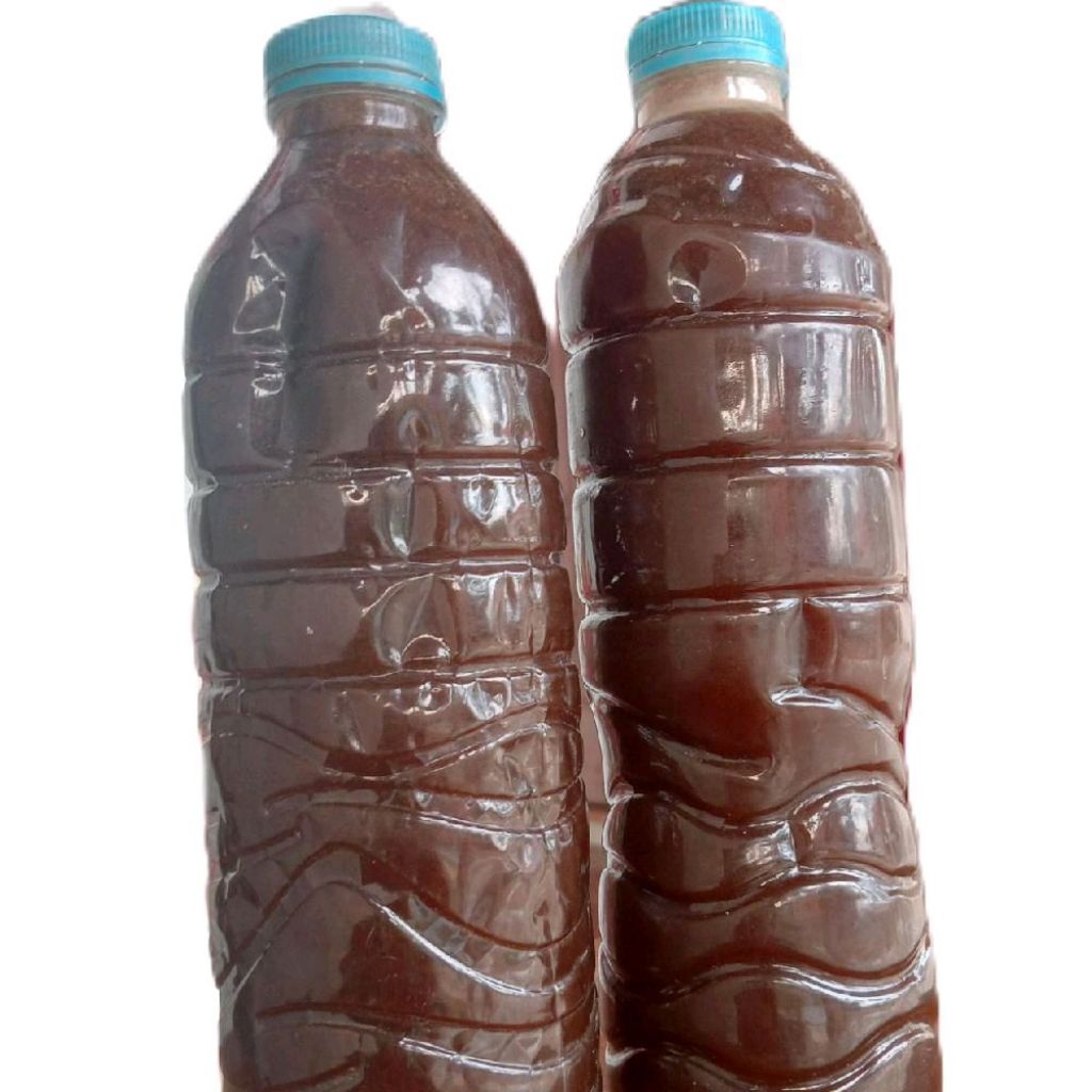 Gula merah siwalan cair khas Madura Sumenep kemasan 600 ml (-+850 gram)