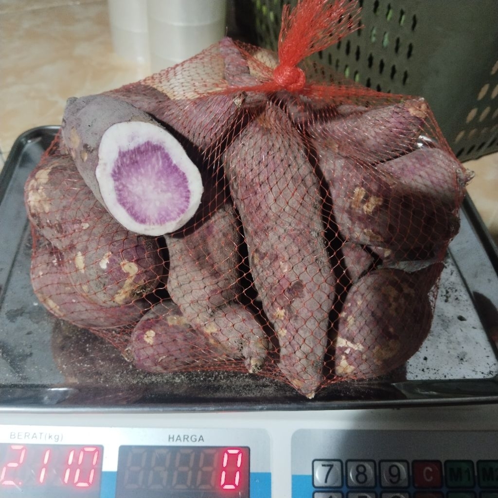 UBI UNGU SAMARINDA MURAH 1KG