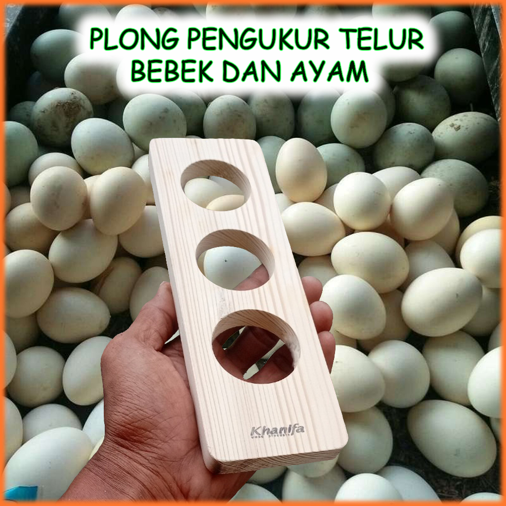 Plong telur ayam dan bebek>Alat sortir telur ayam dan telur bebek(3 LUBANG)