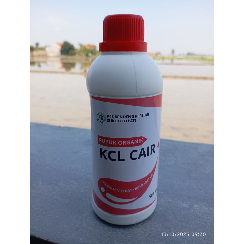 KCL cair